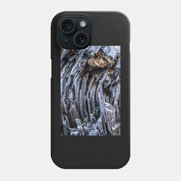 Close Up of an Old Broken Tree Phone Case by jecphotography