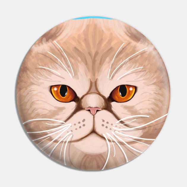 Persian kitty face Pin by Contenebratio