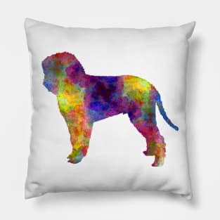 Romagna Water Dog in watercolor Pillow