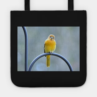 Sweet Young Oriole Tote