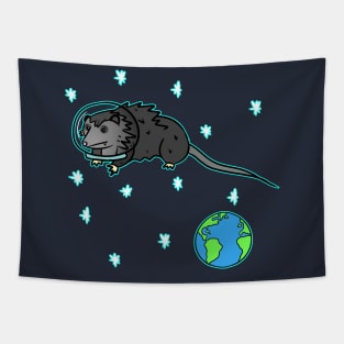 SPACE OPOSSUM Tapestry