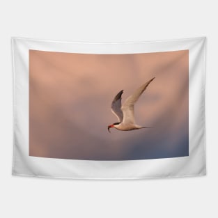 Common Tern with fish Tapestry