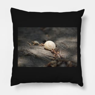 shell Pillow