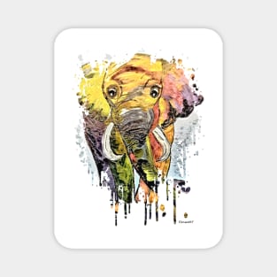 Elephant in the Shadows Magnet