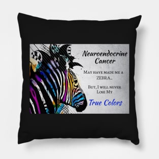 Neuroendocrine Cancer Support and Awareness Pillow