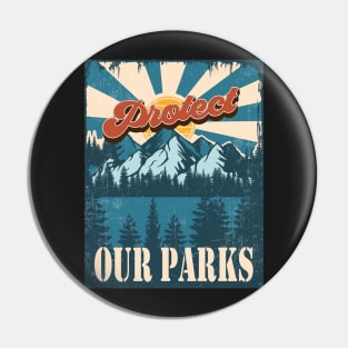 PROTECT OUR PARKS VINTAGE POSTER Pin