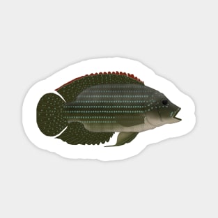 Jack Dempsey Magnet