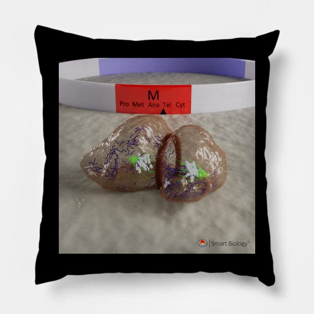 Cell Division Pillow by Smart Biology