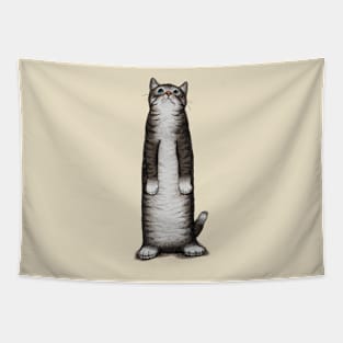 Look cat Tapestry