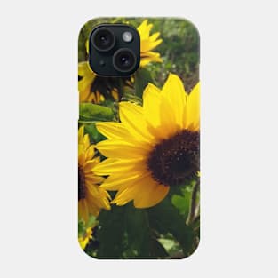 Sunflowers Phone Case