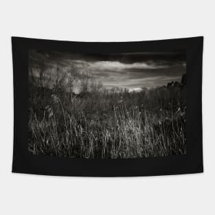 Grasslands Tapestry