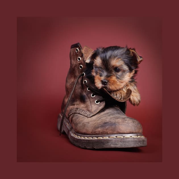 Yorkie boot by PetsArt