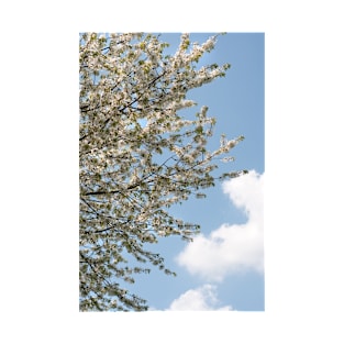 A tree flowering with White Cherry blossom with Blue Sky T-Shirt