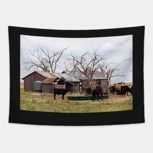 Black cattle Tapestry