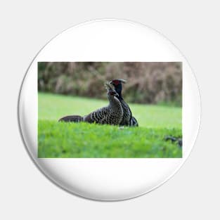 ring necked pheasant 4+2 Pin