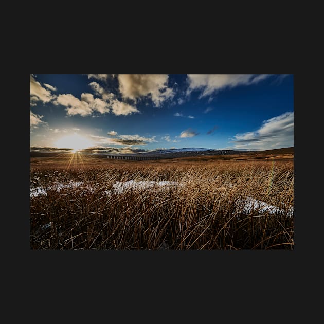 Ribblehead Viaduct by richard49