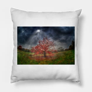 Burning Bush Pillow