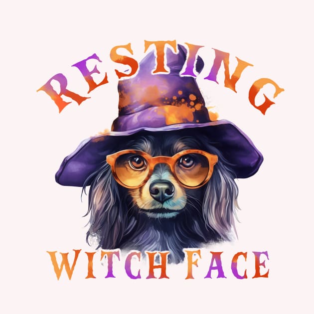 Resting Witch Face dog wearing a hat & glasses by Giorgi's