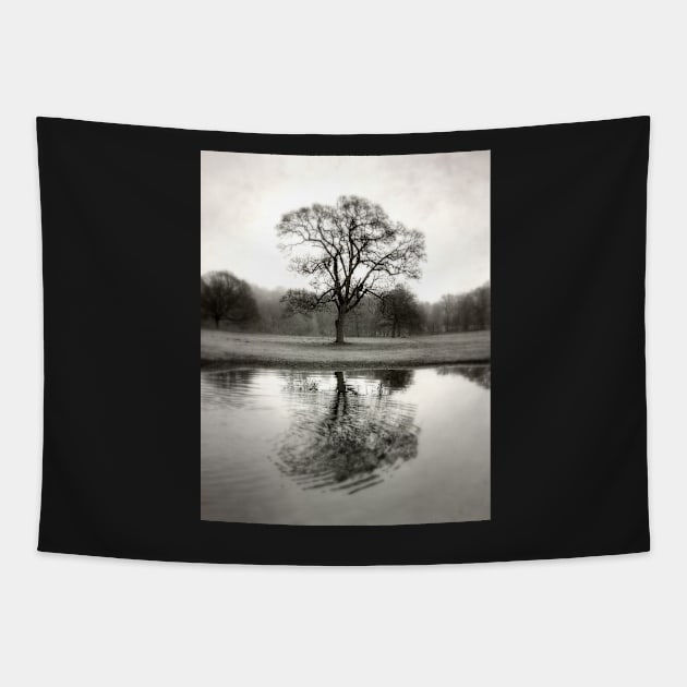 Ripple (tree reflection) Tapestry by rosedew