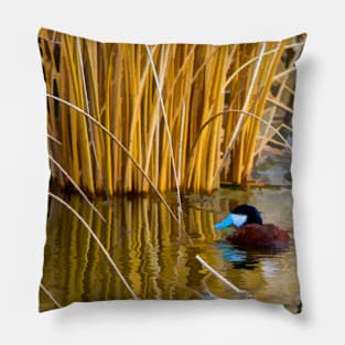 Ruddy Duck in Spring. Pillow