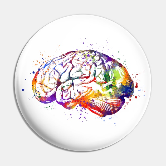 Human Brain Anatomy Watercolor Medicine Gift Pin by LotusGifts