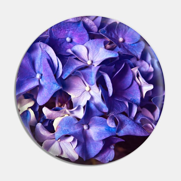 Ultra Violet Dance of Spring Pin by SILVA_CAPITANA