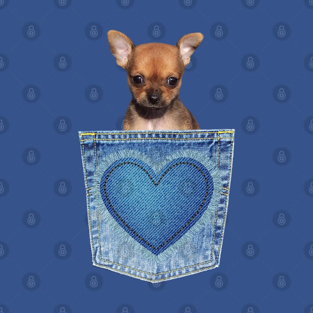 CHIHUAHUA IN BLUEJEAN POCKET WITH HEART ON POCKET by KutieKoot T's