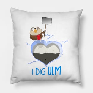 I Dig Ulm Pillow