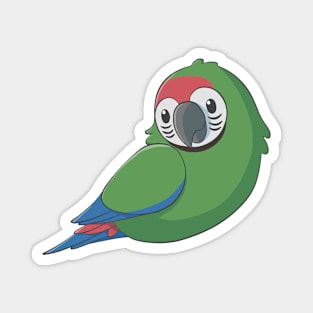 Cute fluffy military macaw Magnet