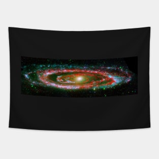 Andromeda galaxy, from NASA Galaxy Evolution Explorer and Spitzer Space Telescope. Tapestry