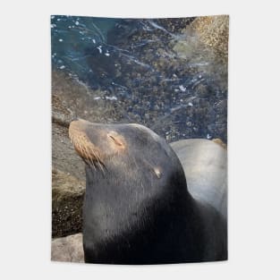 Sea Lion Close Up! Tapestry