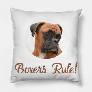 Boxers Rule! Pillow