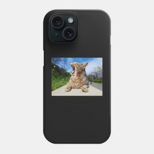 Morning cat Phone Case