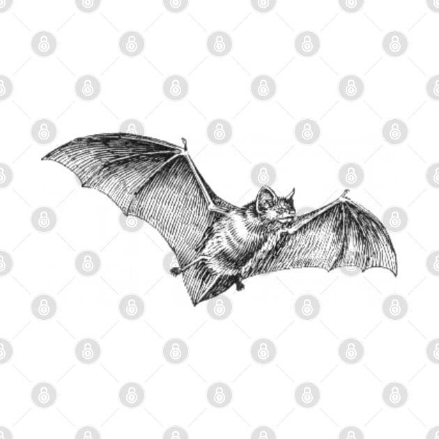 Bat Vintage Illustration T-Shirt by Ebazar.shop