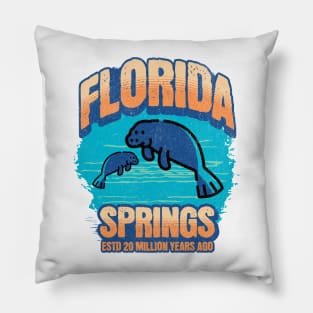 Florida Springs: A Natural Wonder Created 20 Million Years Ago Pillow