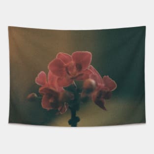 Pink orchid flower Tapestry