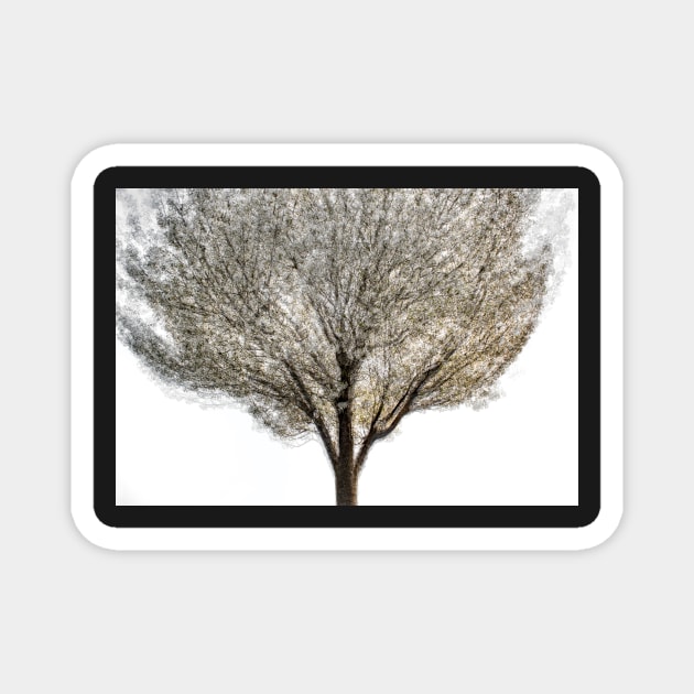 Cherry Tree Multiple Exposure Abstract Magnet by TonyNorth