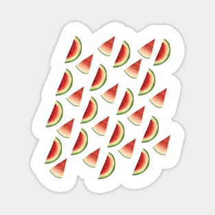 Watermelon Party Magnet