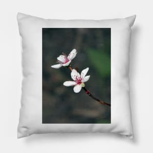 Purple Leaf Sand Cherry Book Cover Pillow