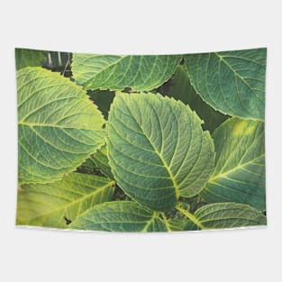 Green Hydrangea Leaves Tapestry