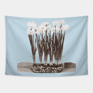 Paperwhites Tapestry