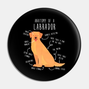 Yellow Labrador Retriever Dog Anatomy Pin