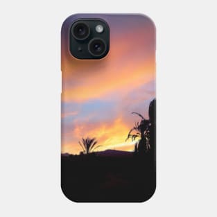 Sunset in the palm oasis Phone Case