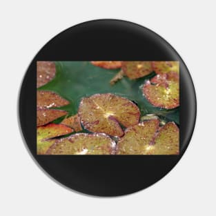 Lily Pad Pin