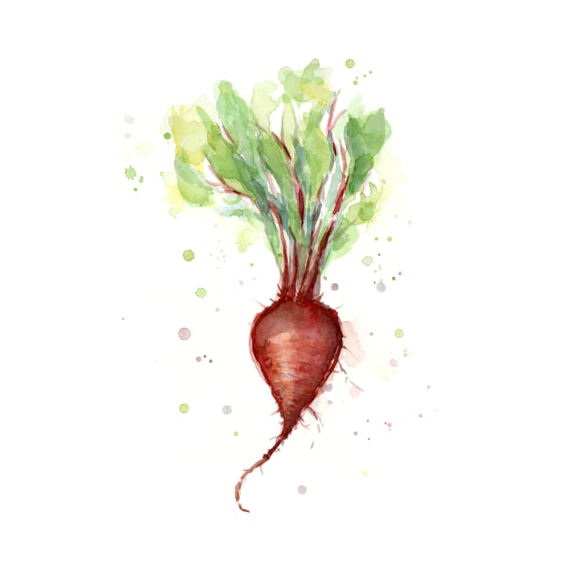 Red Beet Watercolor by Olechka