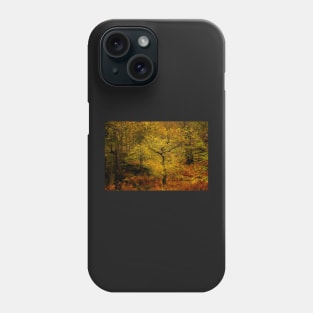 Autumn Trees Phone Case