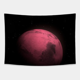 3D Planet Tapestry