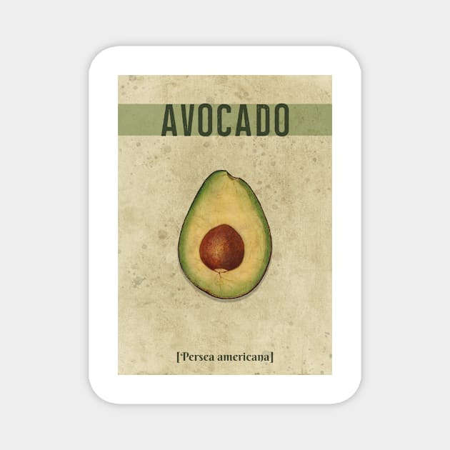 Avocado Watercolor Vintage Magnet by Cat'n'Fox Designs