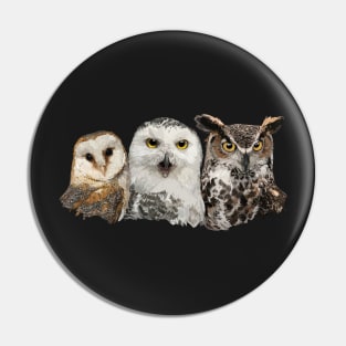 Owls and owl Pin