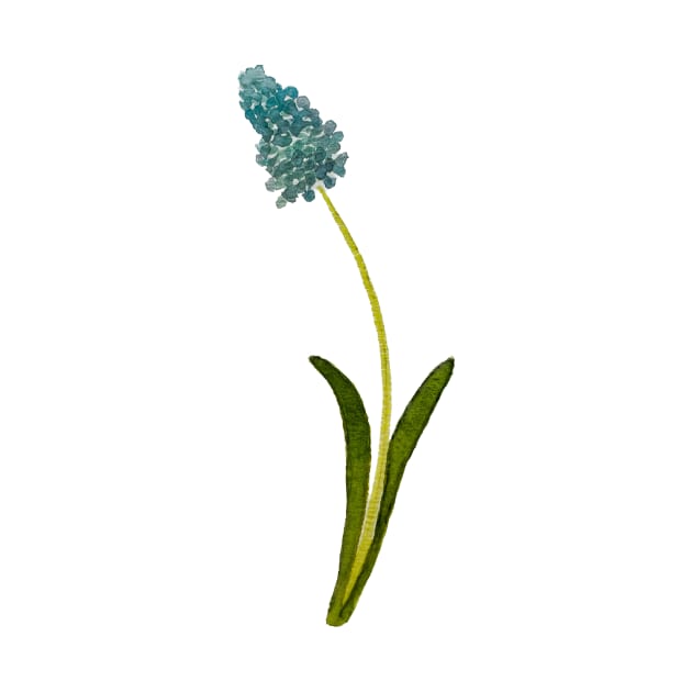 Muscari by dreamtravel